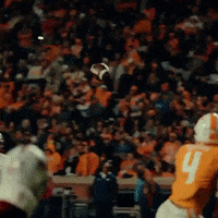 Tennessee Volunteers Football GIF by Tennessee Athletics