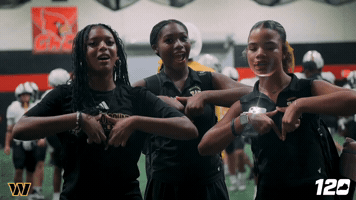 Yellow Jackets GIF