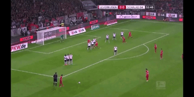 jacopodifrancesco  GIF