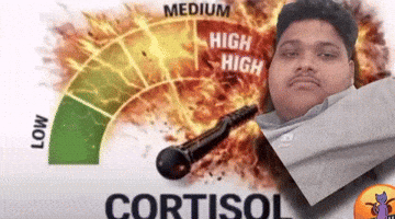 Ashixd GIF