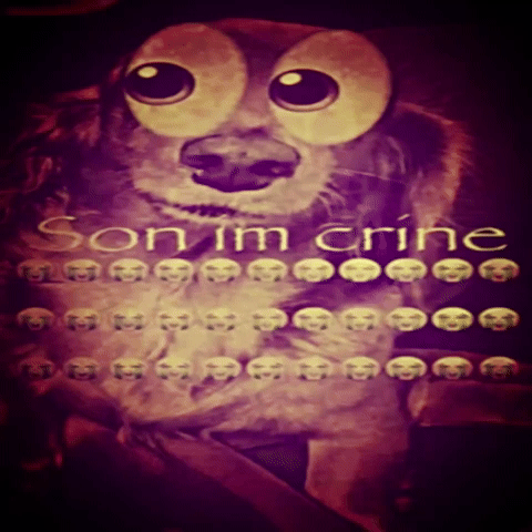 Son Im Crine GIF
