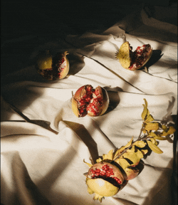 Origo Natural Skincare GIF