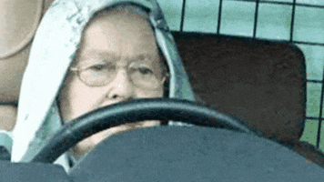 queen elizabeth news GIF