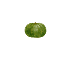 Food Sticker