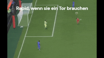 Rapid Wien Fifa GIF