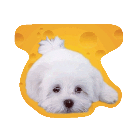 Bored Dog Food Sticker by Awesome Pawsome Treats