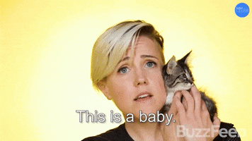 Hannah Hart Baby GIF by BuzzFeed
