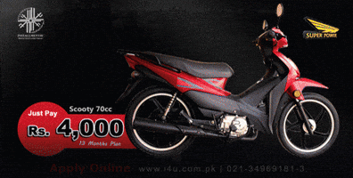 noman  GIF