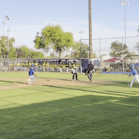 Brawleyunion GIF by brawleywildcat