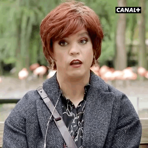 Catherine Liliane Secretaire Canal Humeur GIF