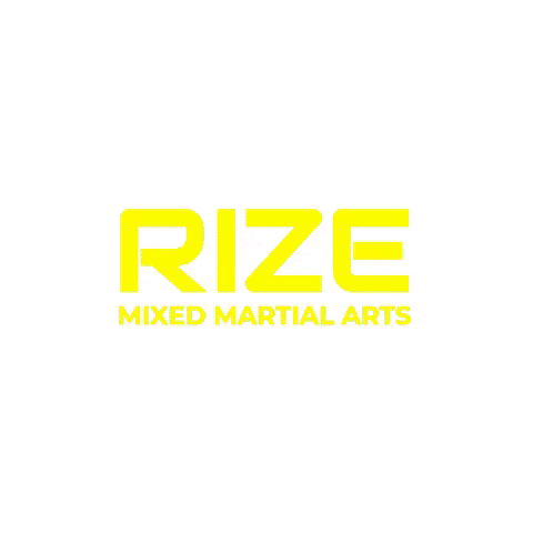 Martialarts GIF by RIZE MMA