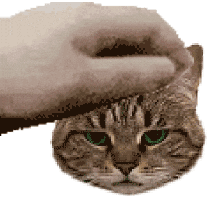 Dexter Sticker by Meow Cats Café