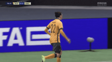Socceroos GIF