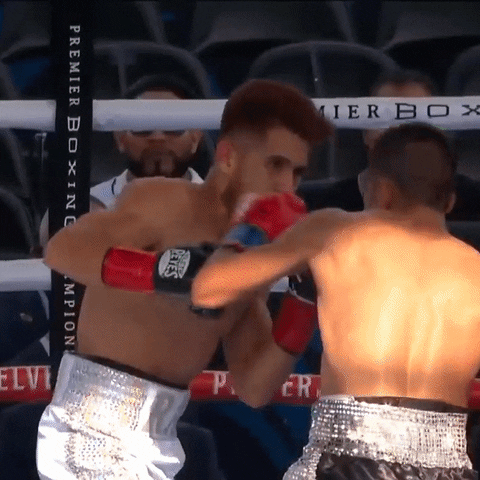 Fight Knockout GIF by Premier Boxing Champions