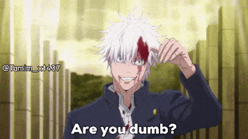 Jujutsu Kaisen Are You Dumb GIF
