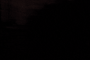 LUnited Empire GIF