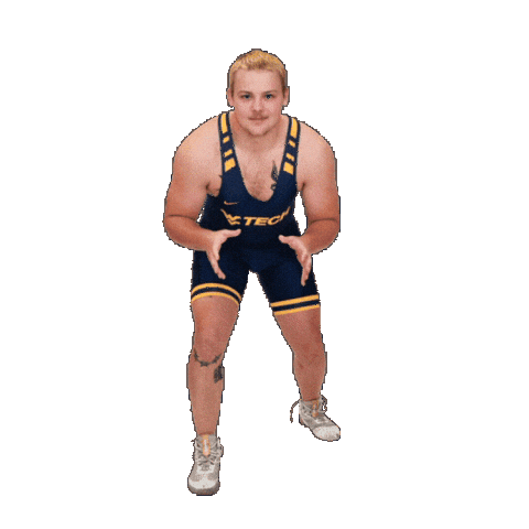 Wrestling Sticker by WVU Tech Golden Bears