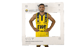 Ewe Baskets Basketball Sticker by EWE Baskets Oldenburg