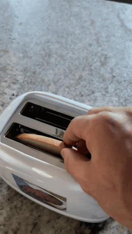 Toaster GIF by Sam Lepore