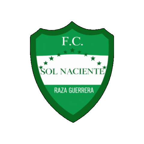 Futbolsanjavier Sticker