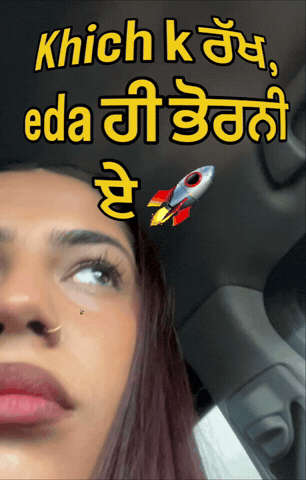 Punjabi Porti GIF