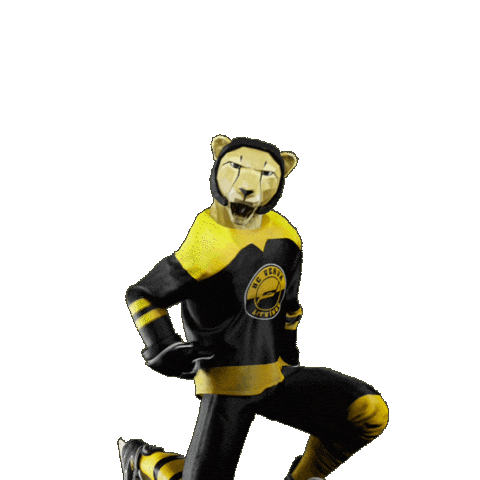 Hockey Hokej Sticker by Tipsport extraliga