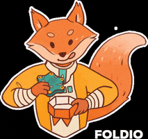 The FOLDIO Team GIF