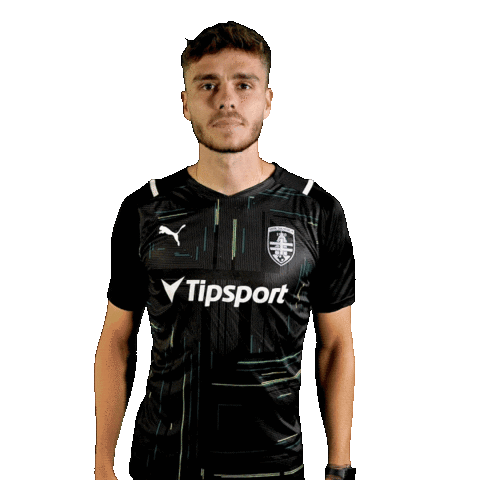 Football Soccer Sticker by MFK Skalica