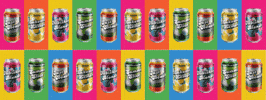 Pride GIF by Castle Danger Brewery