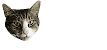 Cat Sticker by FuzzYard