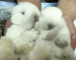 200.gif