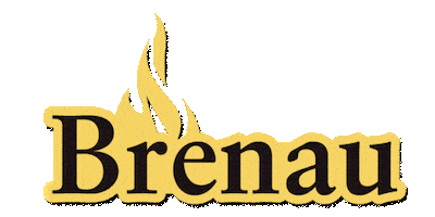 Georgia Flame Sticker by Brenau