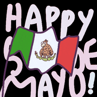 Cinco De Mayo Mexico GIF by Luis Ricardo