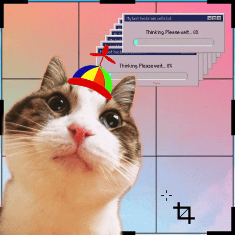 Cat Meme GIF by Furrend