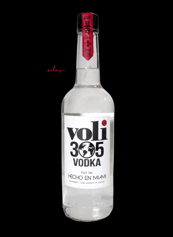 Miami Florida GIF by Voli 305 Vodka