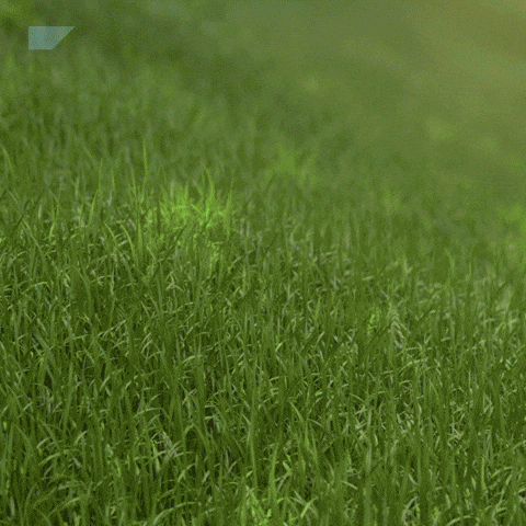 Joyeuses Paques Spring GIF by SAP