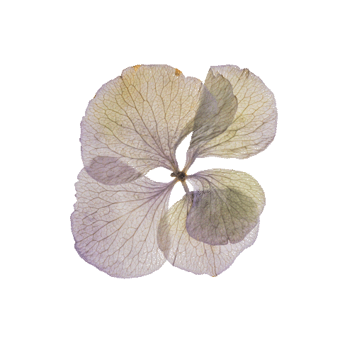 Summer Summit Sticker by pureencapsulations_de