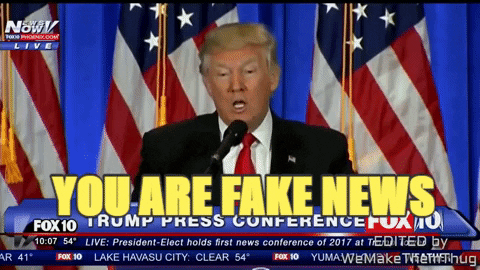 Image result for you are fake news gif