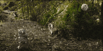 Star Wars GIF