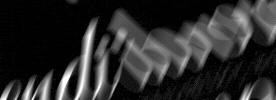 Vivendi Dance Collective GIF