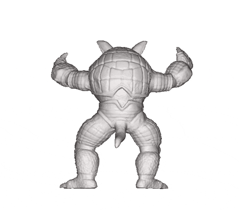 armadillo