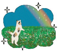 Cat Rainbow Sticker by Illustrator.aki