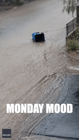 Monday Rain GIF by Storyful