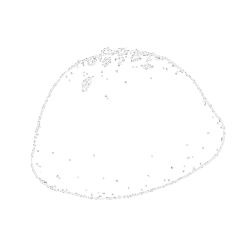 Food Sticker