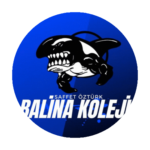 Saffet Öztürk Sticker