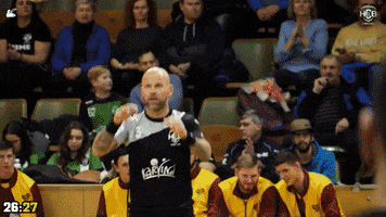Fans Yes GIF by HCB Karviná