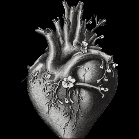 Gothic Heart GIF by PaceMKR
