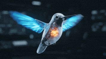 GIF by Videira Digital
