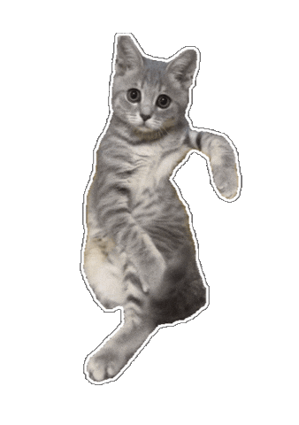 Animated Sticker