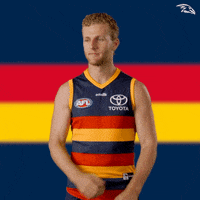 No Deal Afl GIF by Adelaide Crows